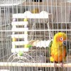 Bird Perch with Ladder,Lovebird Perches Stand Swing Ladder | Parrot