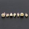 7Pcs Dental Endodontic Root Canal RCT Practice Endo Teeth Tooth