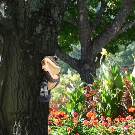 MHLLGN Solar Frog Garden Statues Tree Hugger for Outside, Solar Statues for Yard and Garden, Outdoor Garden Decorations, Garden Frogs Outdoor Decor with Solar Light, Tree Decorations Outdoor