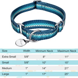 Dazzber Fashion Print and Unique Geometric Pattern Martingale Dog Collar, Silky Soft Safety Training Collars for Small to Large Dogs (Medium, Turquoise)