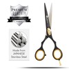 Professional Hairdressing Scissors, Japanese Stainless Steel Salon Scissors - 16.5