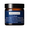 Antipodes Culture Probiotic Night Recovery Water Cream 60ml