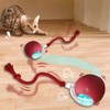 Hot cat toys are automatically teasing cat balls and self-exciting
