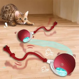 Hot cat toys are automatically teasing cat balls and self-exciting cat sticks and ticks an