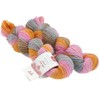 MEILENWEIT Merino 50 Hand-Dyed Set of 2 218 Kullu