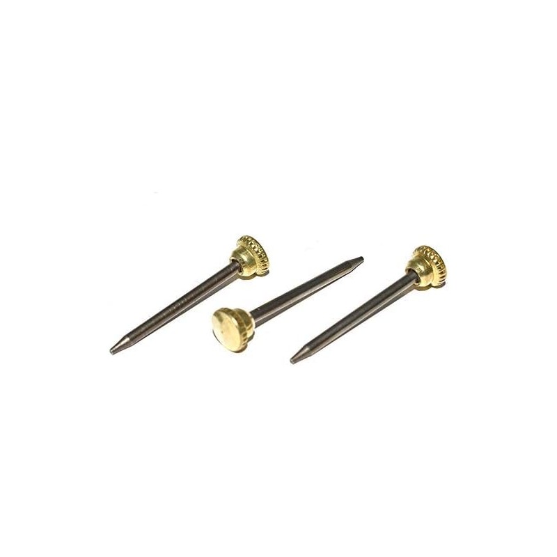 Dzina Picture Photo Hanging Hook PINS KNURLED Brass Head (