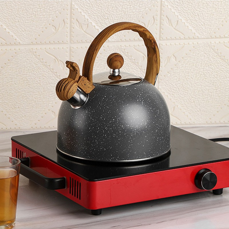 Whistling Kettle 2.5L Capacity Stainless Steel Stovetop Teapot for Water