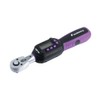 Pro-Auto Replacement Digital Torque Wrench 3/8" (9.5) DR. Ratchet Head