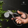 Professional Bonsai Butterfly Scissors | Pruning Shears for Trimming Plants