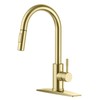 FORIOUS Gold Kitchen Faucet with Pull Down Sprayer, High Arc