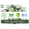 Oils and Herbs 100% Dried Senna Leaves 50 GMS Clean