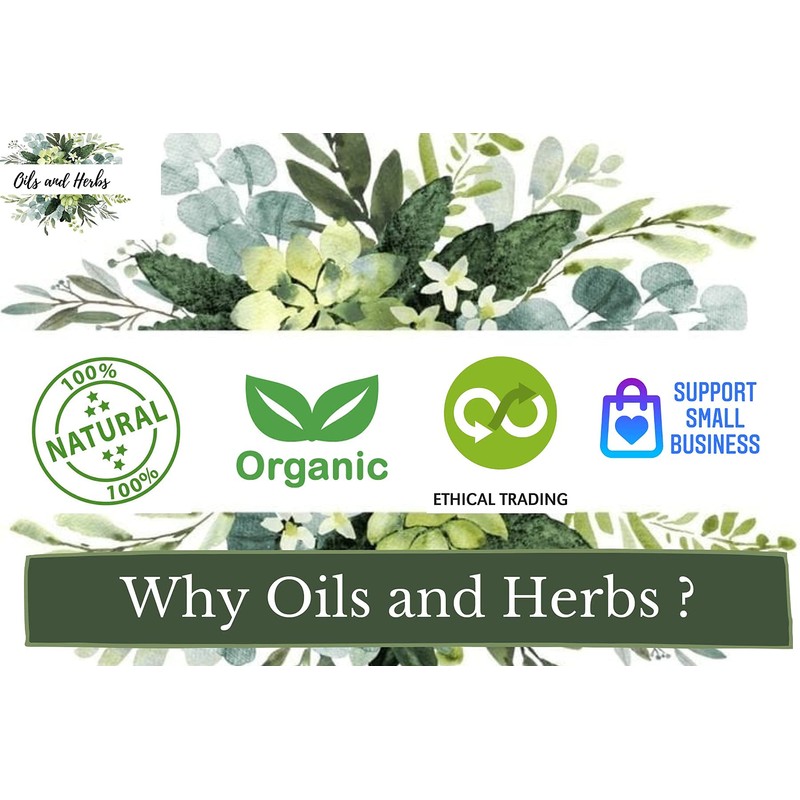 Oils and Herbs 100% Dried Senna Leaves 50 GMS Clean