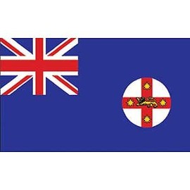 Flag Country Wales New South Poly 3ft X 5ft