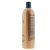 Bed Head Shampoo and Conditioner, Color Goddess, 25.36 Fl Oz