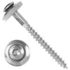TX20 A2 Stainless Steel Plunger Screws 4.5 x 50 mm