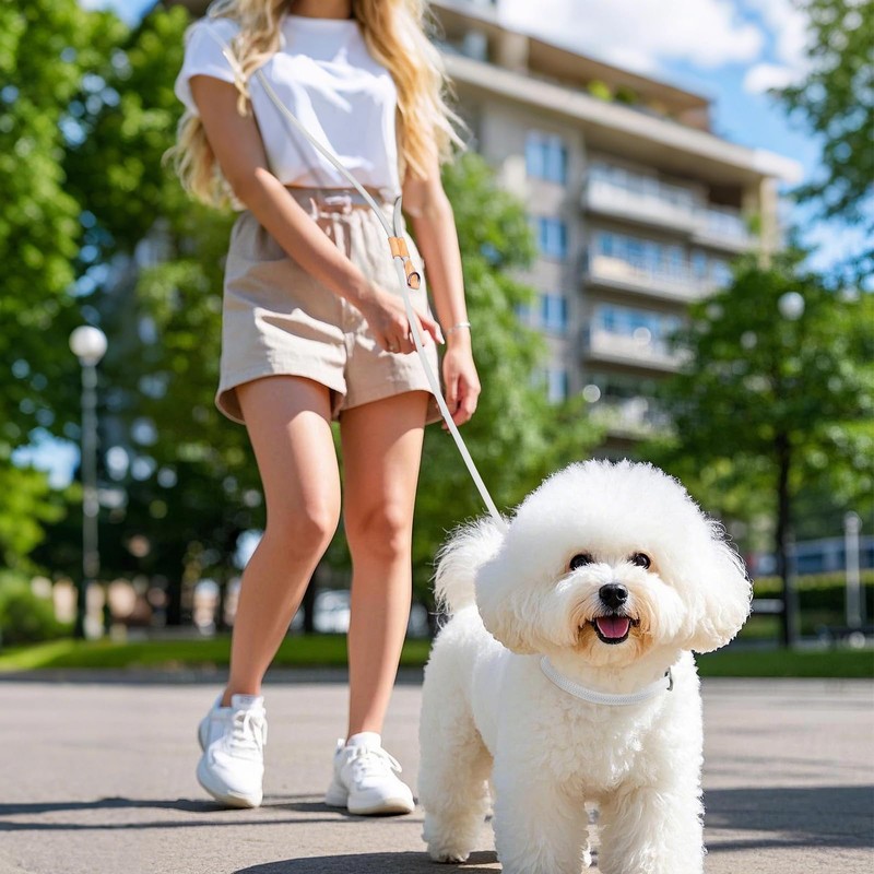 Wolfone Slip Lead Dog Leash - Heavy Duty Rope Leash