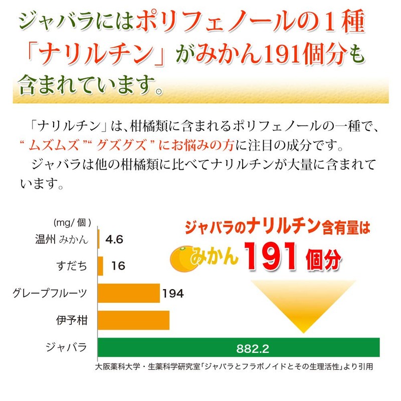 ジャバラ果皮の力 1袋（15日分）和歌山県 北山村 じゃばら使用 サプリメント ナリルチン 大日ヘルシーフーズ