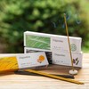 Spirited Incense Incense Sticks Aroma Sandalwood [Forest Scent] Scented Stick