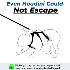 Wuffley Escape Proof Dog Harness and Leash Set, Lightweight Dog Harness with Lift and Assist Handle, No Pull Reflective Pet Vest for Small Medium Dogs, Ideal for Puppy Walking and Training (Black, S)