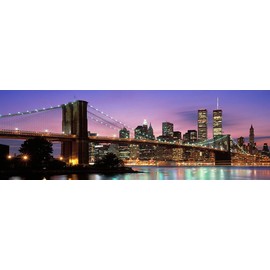 Walls 360 Peel & Stick Wall Mural: Brooklyn Bridge New York NY USA (36 in x 12 in)