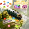 70 PCS Mini Turtles, Tiny Turtle, Tiny Turtles with Fruit