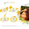 Kit Yellow Repair Profesional Shampoo + Acondicionador 500ml