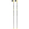 LEKI Goods, black-yellow, 170 cm