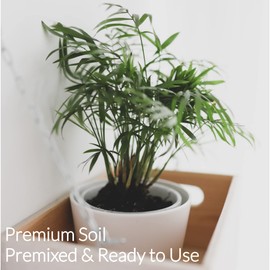 Professional Lucky Bamboo Soil | Large 2.2 Quarts Ready to Use for Lucky Bamboo plants | Peat Moss, Coco Coir, Perlite, Dolomite | Made in USA