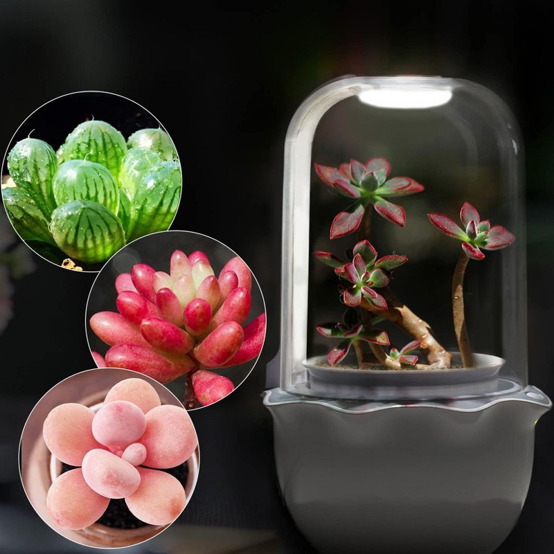 Smart Planter with Grow Light Indoor Minimalist Design LED Succulent