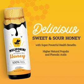 Meliponini - Stingless Bee Honey, Antioxidant-Rich & Raw, A Powerful Alternative to Manuka, Tasty, Pure, Sweet and Sour with Many Health Benefits, 335 g