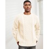 Men's Knit Sweater Crewneck Loose Fit Casual Twist Patterned Textured