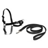 PetSafe Easy Walk Harness, No Pull Harness for Dogs, Adjustable