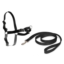 PetSafe Easy Walk Harness, No Pull Harness for Dogs, Adjustable Harness with Included Matching Lead BLACK MEDIUM