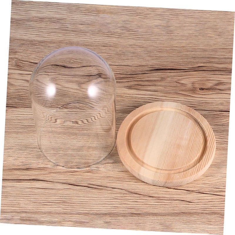CHILDWEET 9x12cm Flower Glass Cover Glass Dome on Wooden Stand