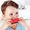 Pack of 2 Children's Harmonica, 10 Holes Harmonica, Diatonic, Mouthharp,