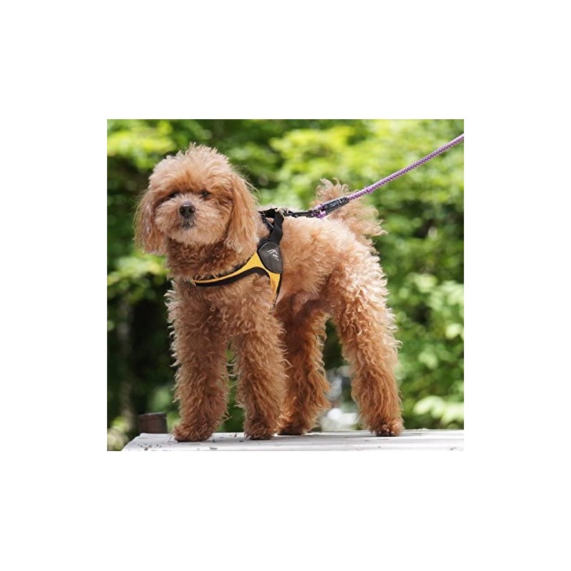 Hakusan First Harness Turquoise Size 3