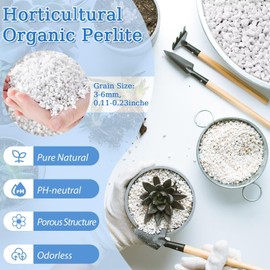 Riare Riare 6 Quarts Organic Perlite for Plants - Horticultural Perlite Soil Amendment for Plants Potting Mix, Natural Chunky Perlite Soil Additive Conditioner Improve Root Growth, Drainage and Ventilation