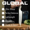 Global Butcher Knife GF Series GF-27