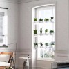 Kuahome 3-Tier Acrylic Window Wall Hanging Clear Plant Shelves for