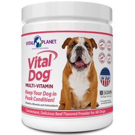 Vital Planet - Vital Dog Multi Vitamin Powder Supplement for Everyday Health with Vitamins, Minerals and Antioxidants for Dogs - Beef Flavored Powder, 30 Servings, 75 Grams