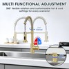 SOEBIZ Kitchen Faucet with Soap Dispenser, 2-Mode Sprayer