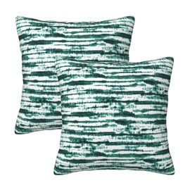 QUALKNOY Set of 2 Velvet Cushion Covers 45x45cm Modern Abstract Art Teal Green Decorative Throw Pillow Cases 18x18 inches for Sofa Living Room Garden Outdoor Courtyard Decor Pillowcases