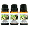 Crazy Candles Arabian Sandalwood 3 Bottles 1/2 Fl Oz Each