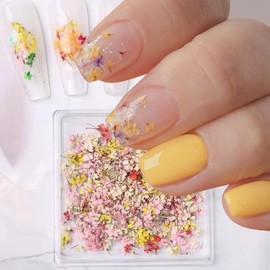 Dried Flowers for Nails -1Box 3D Dried Flower Nail Sticker Charms Natural Floral Mix Dry Colorful Decals for Nails Art Design Spring Small Flowers Nail Art Resin DIY Craft Summer Manicure Accessories