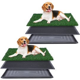Artificial Grass for Dog Potty – 20x30 inch,Strong Absorbency Grass Pad, Dog Grass Pad with Tray, Dog Potty Training Pad, Dog Litter Box with Grass (20"x30" X2)