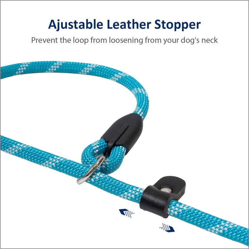 WePet Dog Training Slip Leash, No Pull, Durable Reflective Lead,