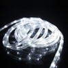 33ft LED Rope Lights, 110V 2 Wire Connectable Christmas Rope