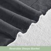 Elegant Comfort Ultra Soft Reversible Flannel Sherpa Blanket - Cozy