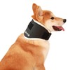 BUVUB Dog Neck Brace Supports Pet's Necks with Intervertebral Disk
