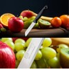 Quantity Paring Knife Serrated Stainless Steel Small Fruit and Vegetable